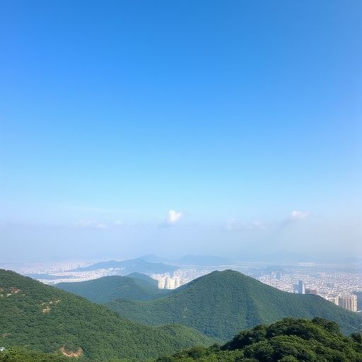 深圳福田莲花山公园景色