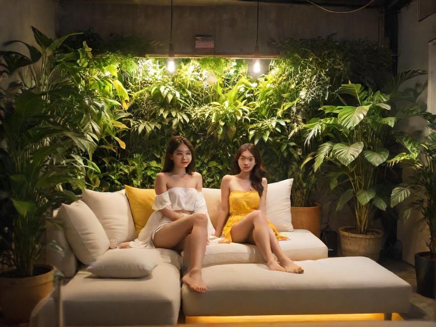 一个充满现代感和自然气息的室内休闲空间,绿植点缀,光线充足,营造出舒适宁静的氛围